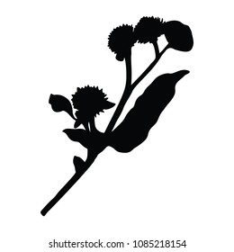 Burdock silhouette isolated on white background. Design element for your design. Vector illustration.