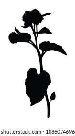 Burdock silhouette isolated on white background. Design element for your design. Vector illustration.