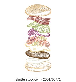 Burger with flying ingredients. Vector illustration in vintage sketched style. Colored strokes sketch.
