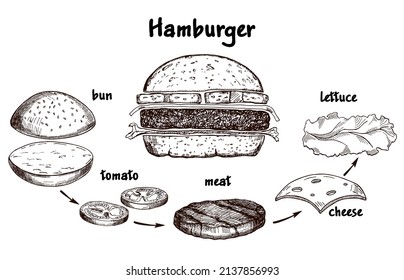 Burger and Burger Ingredients. Crispy cutlet with isolated elements. Sketch illustration of components and elements of hamburger products. Fast Food Menu Builder Vector