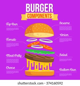 Burger Ingredients Illustration