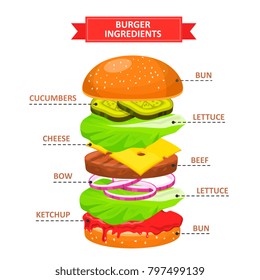 Burger ingredients set. Elements of ingredients for burger or sandwich, sliced veggies, bun, beef cutlet, snack, meal making poster. Vector flat style cartoon illustration isolated on white background