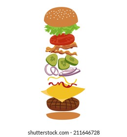 Burger isolated vector infographics illustration. Hamburger and ingredients illustration. Image of burger on white background.