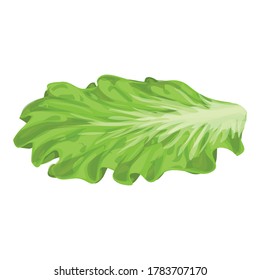 Burger salad icon. Cartoon of burger salad vector icon for web design isolated on white background