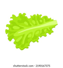 Burger sliced ingredient flat icon. Cartoon lettuce leaf isolated vector illustration