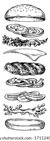 Burger. Vector illustration for menu, restaurant, internet food delivery. Sandwich with ham, beef, bread. American fast food.