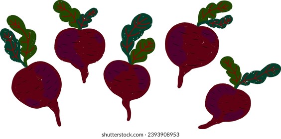 Burgundy beetroot with leaves. Vector grainy set of texture elements, cartoon style, doodle, grunge texture, colored pencil, old paint, crayon, pastel, crayon. Vector collection.