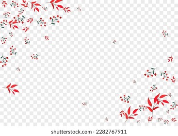 Burgundy Berries Background Transparent Vector. Foliage Modern Card. Green Rowan. Pink Leaves Decorative. Drawn Design.