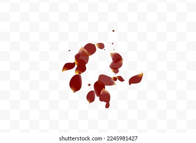 Burgundy Floral Fall Vector Transparent Background. Beauty Cherry Frame. Delicate Flower Japan Design. Beautiful Blossom Spring Poster.