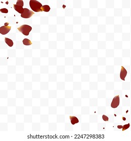 Borgoña Vector De Caída Floral Fondo Transparente. Papel tapiz de Blur Sakura. Hermoso Afiche Flying Blossom. Delicado patrón Petal de Japón.
