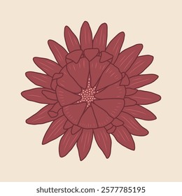 Burgundy flower vector illustration. Hand drawn dark red blooming flower head with petals on pastel beige background. Modern decorative botanical print design. Floral element top view for cards