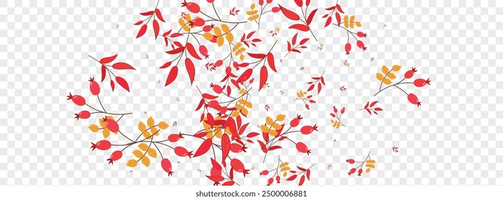 Burgundy Foliage Background Transparent Vector. Herb Decorative Illustration. Red Leaves Natural. Season Frame. Leaf Decoration.