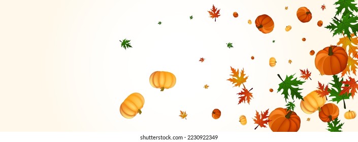Burgundy Gourd Background Light Vector. Colorful Invitation Texture. Orange Plant Cute Frame. Rowan Maple. September Illustration.