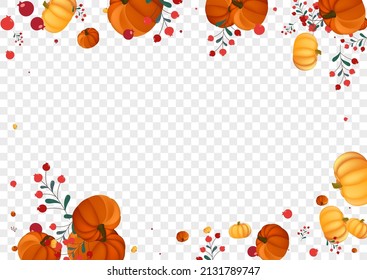 Burgundy Gourd Background Transparent Vector. Orange Harvest Illustration. Red Plant Oak Template. Rowan Fall. Decorative Banner.