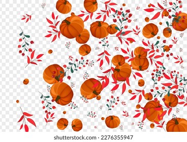 Burgundy Gourd Background Transparent Vector. Colorful Abstract Illustration. Orange Pumpkin Vintage Set. Leaf Wreath. Pattern Border.