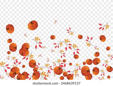 Fondo de borgoña Gourd Vector transparente. Textura de arce naranja. Anuncio de patrón de planta verde. Comida vegetal. Set de noviembre.