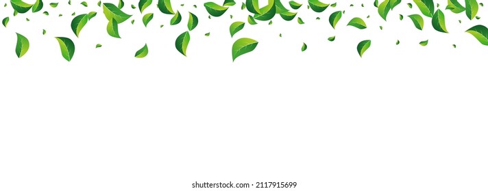 Burgundy Heart Vector Panoramic White Backgound. Birthday Hearts Border. Red Romantic Papercut Wallpaper.