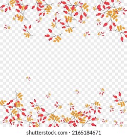 Burgundy Herb Background Transparent Vector. Berries Paper Illustration. Pink Foliage Art. Material Texture. Leaves Rowan.