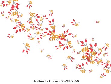Vector blanco de fondo de hoja de borgoña. Juego de siluetas de flotación. Etiqueta de hierba amarilla. Ilustración de Noviembre. Berries Natural.