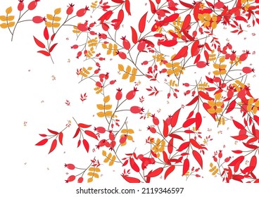 Vector blanco de fondo de hoja de borgoña. Marco de temporada de hierbas. Patrón de bayas amarillas. Textura de graduación. Deja a Rowan.