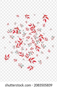 Burgundy Leaves Background Transparent Vector. Herb Wood Texture. Red Berries. Green Foliage Floral. Isolated Set.