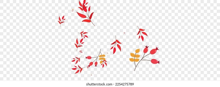 Burgundy Leaves Background Transparent Vector. Leaf Rowan Set. Green Herb Agriculture. Vibrant Texture. Foliage Object.