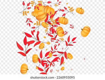 Burgundy Leaves Background Transparent Vector. Red Harvest Set. Yellow Vegetable Nature Frame. Rowan Happy. Thanksgiving Border.