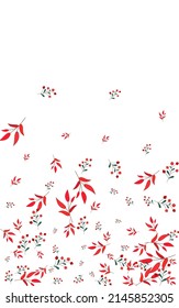 Borgoña Deja Un Vector Blanco De Fondo. Conjunto seco de Rowan. Foliage rojo. Patrón de hierbas verdes. Marco de fondo.