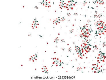 Burgundy Leaves Background White Vector. Herb Fly Template. Red Berries Silhouette. Isolated Frame. Foliage Object.