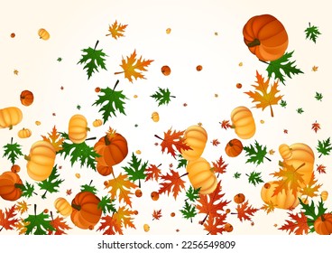 Burgund-Pflanzen-Hintergrund, heller Vektorgrafik. orangefarbener Rahmen. Farbiges Bleib Bild-Banner. Kürbis Kürbis. Erntekarte.