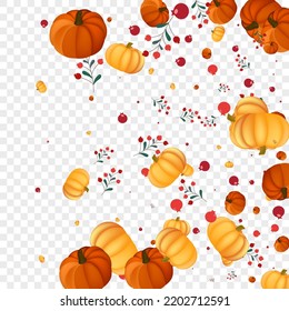 Burgundy Plant Background Transparent Vector. Colorful Pattern Set. Red Gourd Decoration Template. Pumpkin Graphic. Foliage Illustration.