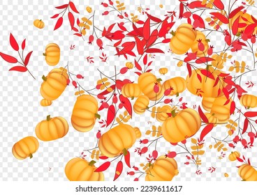 Burgundy Plant Background Transparent Vector. Red Cute Banner. Green Pumpkin Wreath Texture. Gourd Maple. September Template.