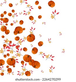 Burgundy Plant Background White Vector. Pumpkin Image. Colorful Pattern Set. November Border. Gold Leaf Abstract Template.
