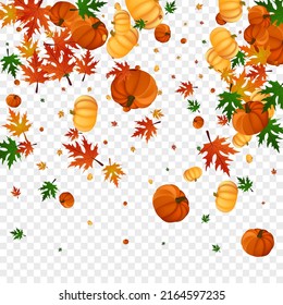 Burgundy Pumpkin Background Transparent Vector. Colorful Drawing Set. Green Rowan Abstract Template. Gourd Picking. Decoration Border.