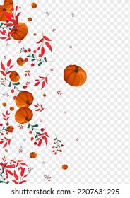 Burgundy Pumpkin Background Transparent Vector. Gold Maple Set. Red Gourd Drawing Banner. Rowan Vibrant. Happy Card.