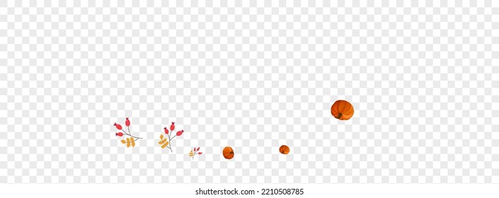 Burgundy Pumpkin Background Transparent Vector. Colorful October Frame. Red Vegetable Abstract Banner. Rowan Pumpkins. Happy Texture.