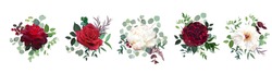 Burgundy Red Rose Flowers, White Ivory Peony, Carnation Vector Design Wedding Bouquets. Eucalyptus, Greenery. Floral Pastel Watercolor. Blooming Fall Floral Bunches. Elements Are Isolated And Editable