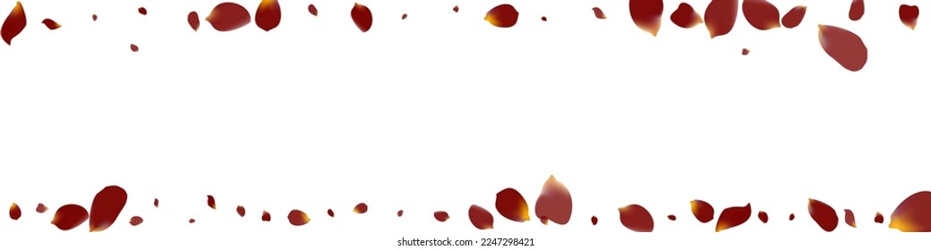 Fondo Panorámico Blanco del Vector de Primavera Rosa Borgoña. Ilustración de Blur Sakura. Pancarta de la mosca rosa. Delicado patrón de caída de las flores.