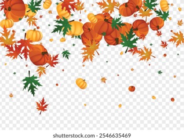 Burgundy Rowan Background Transparent Vector. Gold Oak Template. Red Gourd October Texture. Leaf November. Autumn Border.