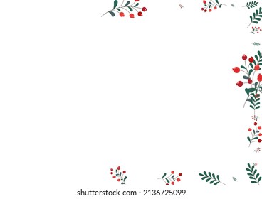Burgundy Rowan Background White Vector. Foliage September Illustration. Red Leaf Dead. Vibrant Template. Berries Symbol.