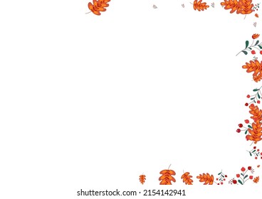 Burgundy Rowan Background White Vector. Leaves Autumn Texture. Green Berries Season. Realistic Design. Leaf November.