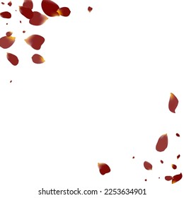 Burgundy Sakura Flying Vector White Background. Falling Blossom Pattern. Pink Flower Fall Design. Beautiful Rose Japan Backdrop.