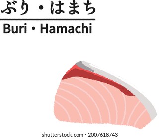 Buri, Hamachi, Small amberjack Young Yellowtail, Sashimi on black dish Delicious Japanese food, Fresh seafood, Text means "Small amberjack Young Yellowtail"