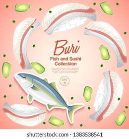 Buri Sushi : Fish and sushi set : Vector Illustration