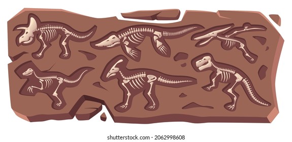 Buried skeleton. Dinosaur ancient reptile marine fossilized in rock old bones exact vector cartoon collection