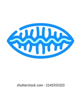buriki kimchi-mandu dish color icon vector. buriki kimchi-mandu dish sign. isolated symbol illustration