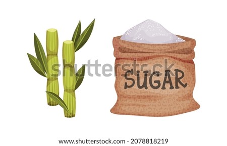 Burlap Sack Full of Refined Sugar and Sugarcane as Sweetener for Food and Drink Vector Set