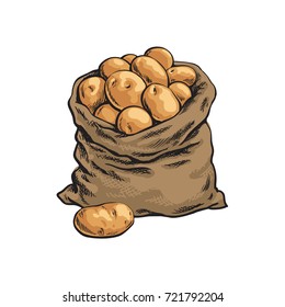 Burlap sack full of ripe potato, hand drawn, sketch style vector illustration isolated on white background. Hand drawn full burlap potato sack, isolated vector illustration