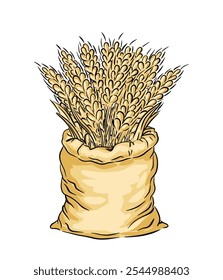 A burlap sack overflowing with golden wheat stalks on white background