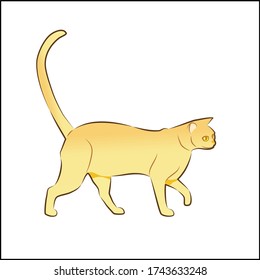 Burmese brown cat walks vector illustration